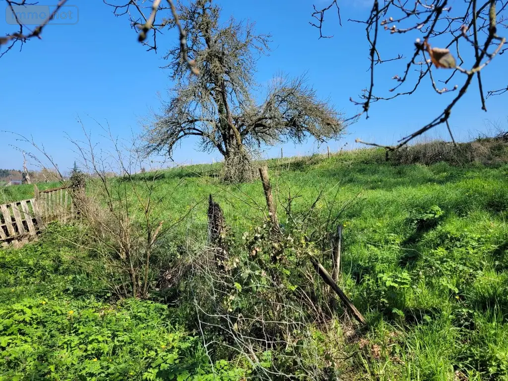 Terrain a batir a vendre Melesse 35520 Ille-et-Vilaine 35 601 m2 172350 euros 019/5308 JLLA 003