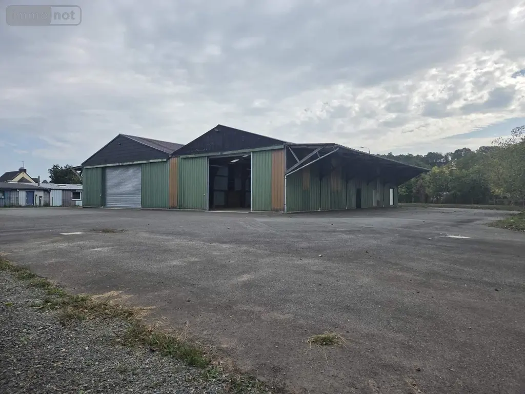 Fonds et murs commerciaux a vendre Montfort-sur-Meu 35160 Ille-et-Vilaine 35 869 m2 8 pièces 521000 euros 030/73055 010