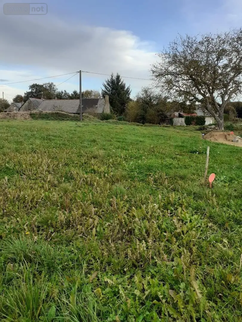 Terrain a batir a vendre Parigné 35133 Ille-et-Vilaine 35 606 m2 31499 euros 037/1462 002