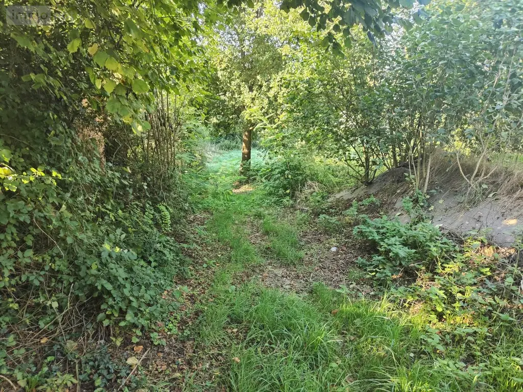 Terrain a batir a vendre Nouvoitou 35410 Ille-et-Vilaine 35 926 m2 146000 euros 097/2810 002