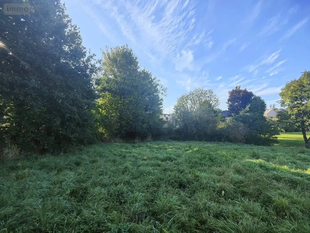 Terrain a batir a vendre Nouvoitou 35410 Ille-et-Vilaine 35 926 m2 146000 euros 097/2810 003