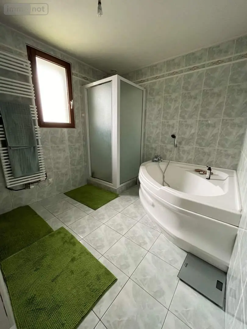 Maison a vendre Louvigné-de-Bais 35680 Ille-et-Vilaine 35 120 m2 5 pièces 438000 euros 118/888 008