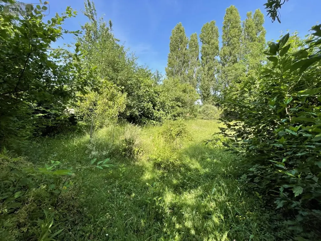 Terrain a batir a vendre Louvigné-de-Bais 35680 Ille-et-Vilaine 35 650 m2 69980 euros 118/918 003