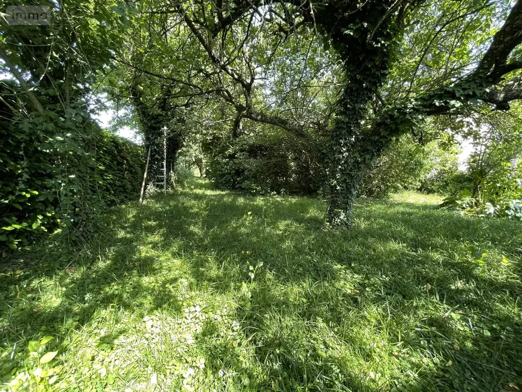 Terrain a batir a vendre Louvigné-de-Bais 35680 Ille-et-Vilaine 35 650 m2 69980 euros 118/918 005