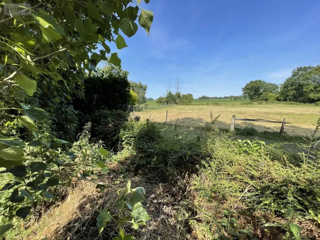 Terrain a batir a vendre Louvigné-de-Bais 35680 Ille-et-Vilaine 35 650 m2 69980 euros 118/918 006