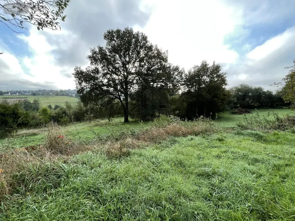 Maison a vendre Balazé 35500 Ille-et-Vilaine 35 190 m2 4 pièces 84980 euros 118/988 006