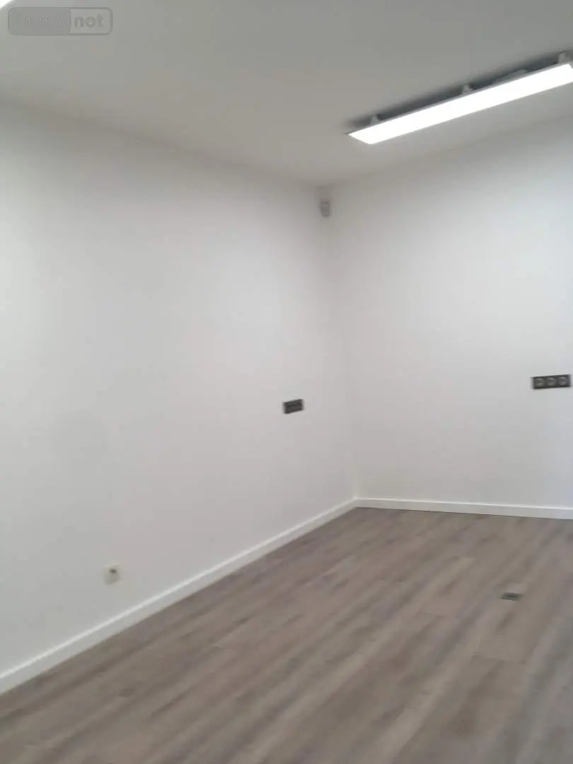 Location fonds et murs commerciaux Janzé 35150 Ille-et-Vilaine 35 53 m2 2 pièces 650 euros 134/3501 008