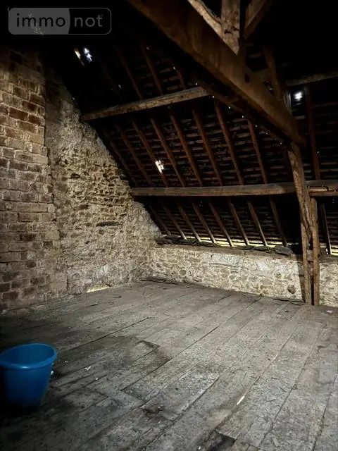 Divers a vendre Janzé 35150 Ille-et-Vilaine 35 50 m2 1 pièce 44500 euros 134/4389 005