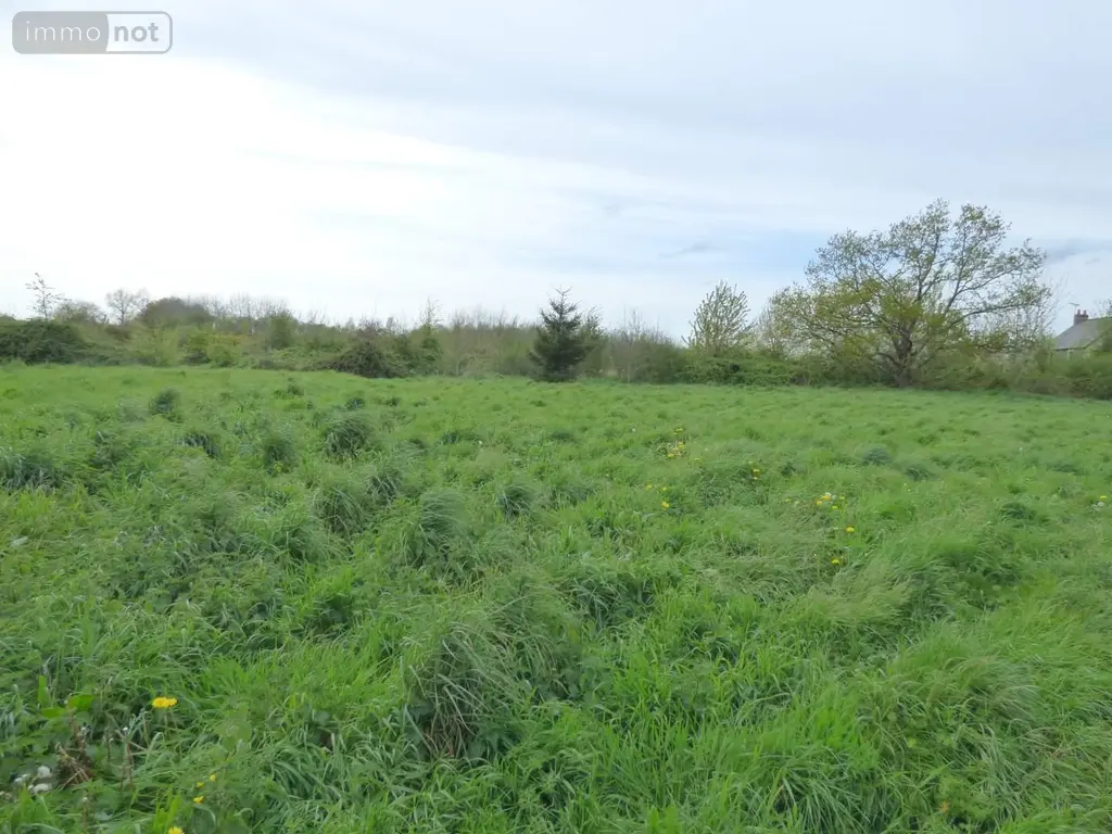 Terrain a batir a vendre Teillay 35620 Ille-et-Vilaine 35 964 m2 29000 euros 136/4752 003