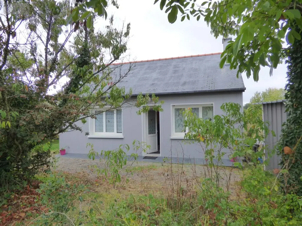 Maison a vendre Sainte-Anne-sur-Vilaine 35390 Ille-et-Vilaine 35 56 m2 2 pièces 101000 euros 136/5300 006
