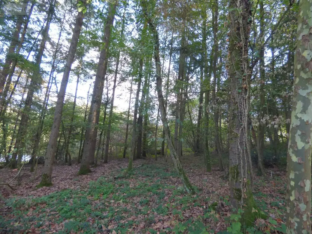 Maison a vendre Tresbœuf 35320 Ille-et-Vilaine 35 43 m2 2 pièces 126000 euros 136/5302 010