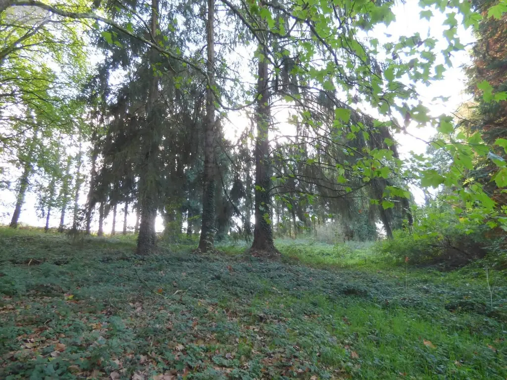 Maison a vendre Tresbœuf 35320 Ille-et-Vilaine 35 43 m2 2 pièces 126000 euros 136/5302 016