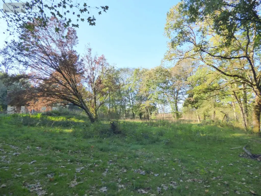 Maison a vendre Tresbœuf 35320 Ille-et-Vilaine 35 43 m2 2 pièces 126000 euros 136/5302 019