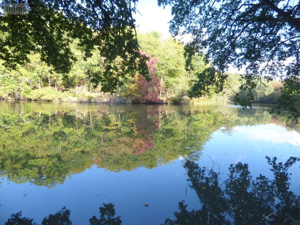 Maison a vendre Tresbœuf 35320 Ille-et-Vilaine 35 43 m2 2 pièces 126000 euros 136/5302 004