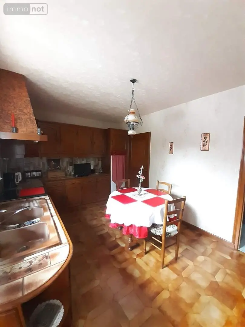 Viager maison L'Île-Bouchard 37220 Indre-et-Loire 37 149 m2 6 pièces 30000 euros 001/2322 003