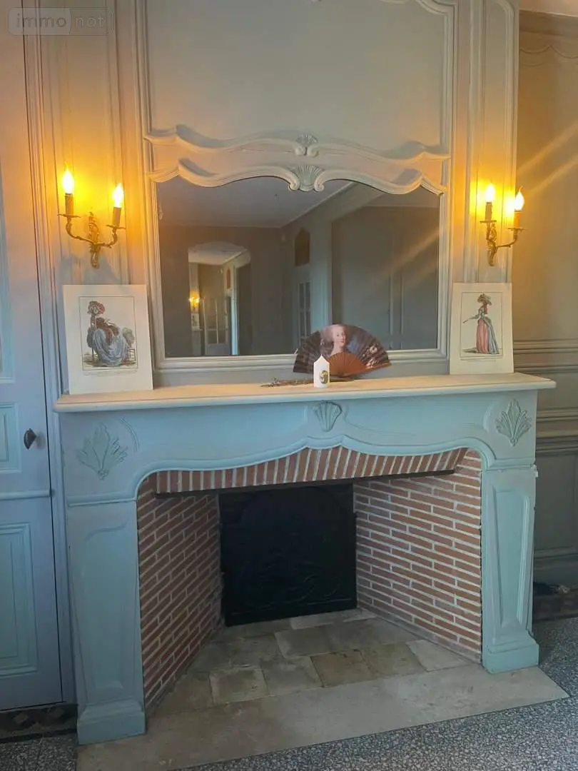 Propriete a vendre Tours 37000 Indre-et-Loire 37 459 m2 11 pièces 1749000 euros 003/2573 009