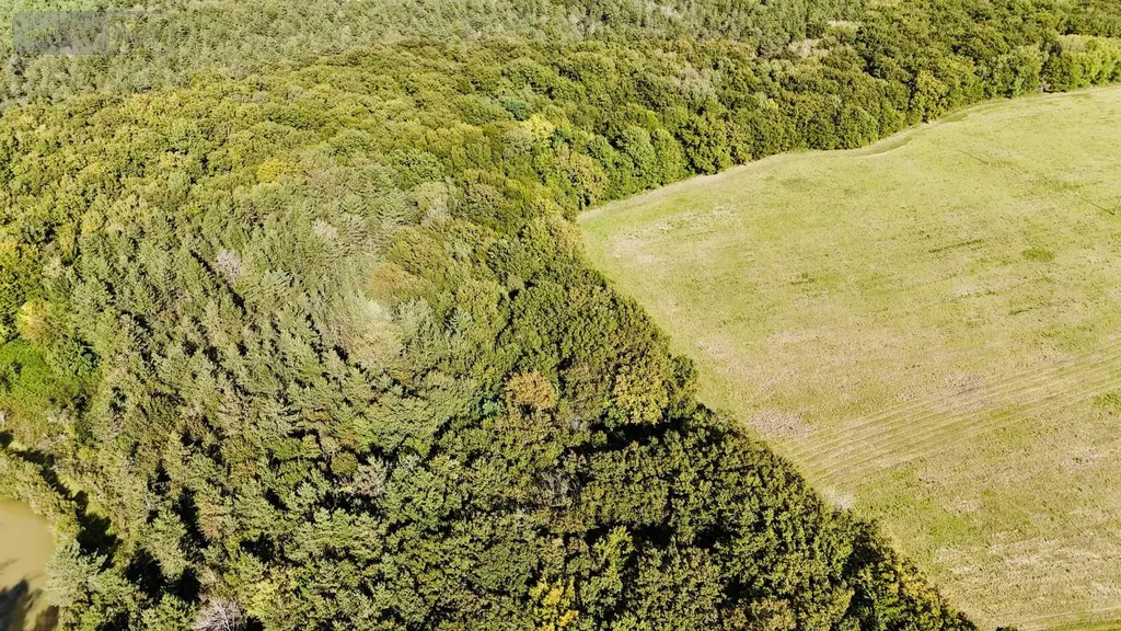 Terrains de loisirs bois etangs a vendre Coteaux-sur-Loire 37130 Indre-et-Loire 37 445050 euros 004/3667 002