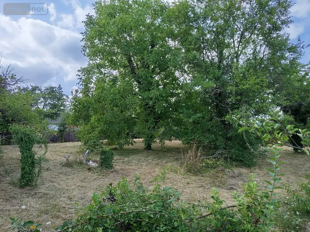Terrain a batir a vendre La Croix-en-Touraine 37150 Indre-et-Loire 37 300 m2 74200 euros 021/TB0211 002