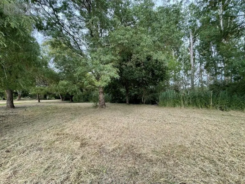 Terrains de loisirs bois etangs a vendre Azay-sur-Indre 37310 Indre-et-Loire 37 19500 euros 021/DV003 002