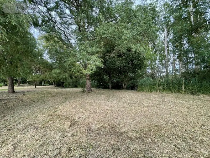 Terrains de loisirs bois etangs a vendre Azay-sur-Indre 37310 Indre-et-Loire 37 19500 euros 021/DV003 003
