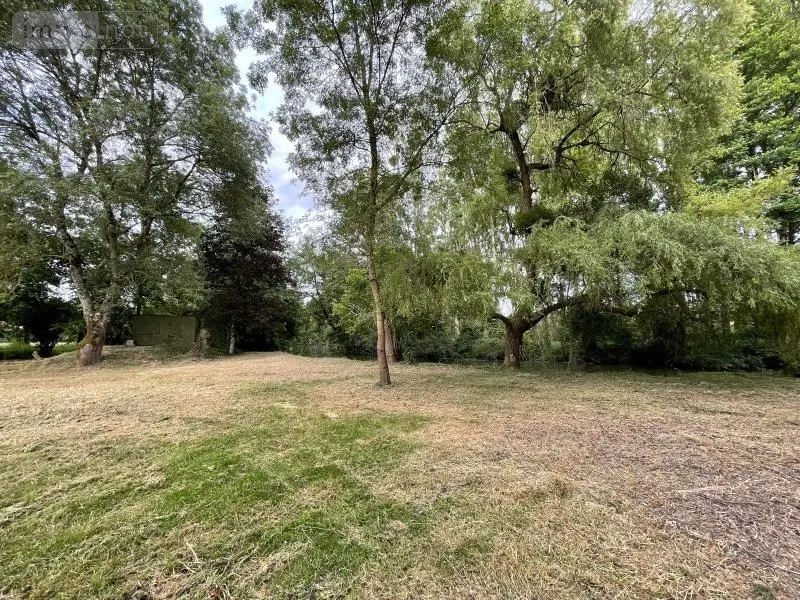 Terrains de loisirs bois etangs a vendre Azay-sur-Indre 37310 Indre-et-Loire 37 19500 euros 021/DV003 004