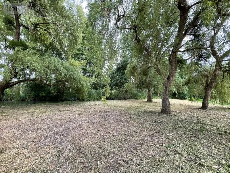Terrains de loisirs bois etangs a vendre Azay-sur-Indre 37310 Indre-et-Loire 37 19500 euros 021/DV003 005