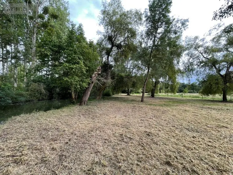 Terrains de loisirs bois etangs a vendre Azay-sur-Indre 37310 Indre-et-Loire 37 19500 euros 021/DV003 007