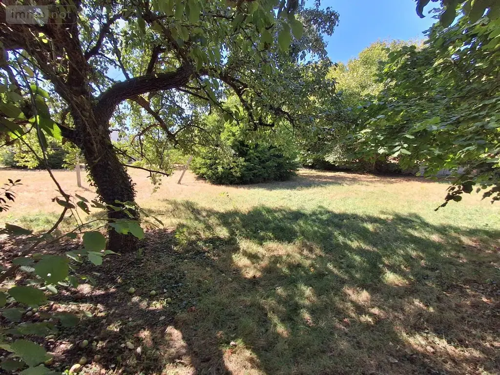 Terrain a batir a vendre Luzillé 37150 Indre-et-Loire 37 728 m2 38160 euros 022/1189 002