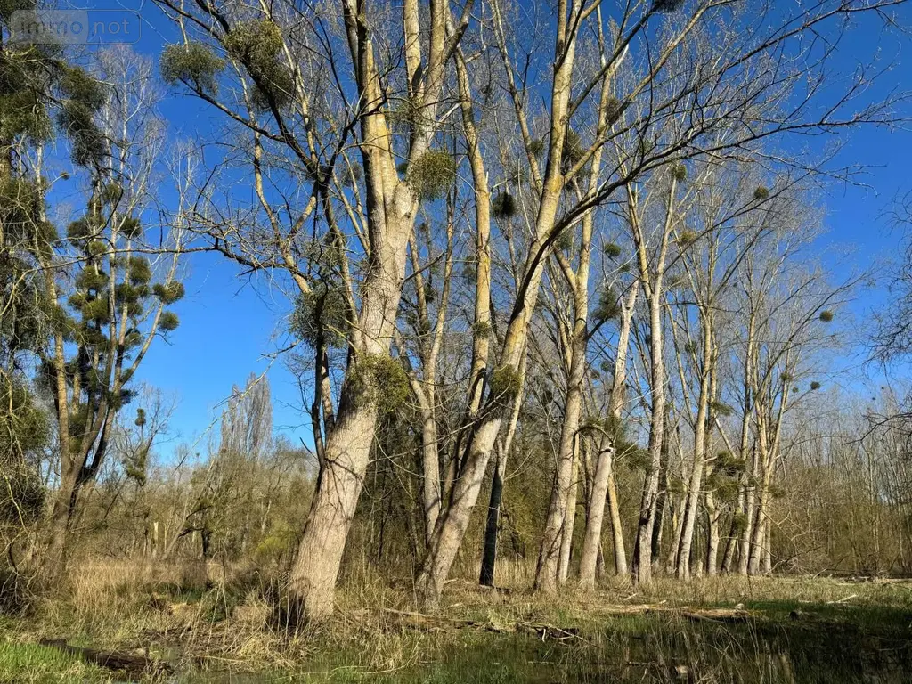 Terrains de loisirs bois etangs a vendre Cormery 37320 Indre-et-Loire 37 14600 euros 034/1391 002