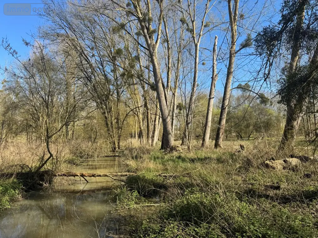 Terrains de loisirs bois etangs a vendre Cormery 37320 Indre-et-Loire 37 14600 euros 034/1391 003