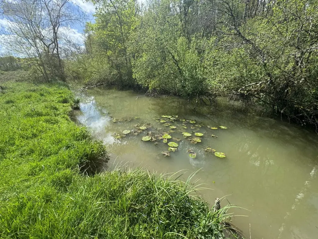Terrains de loisirs bois etangs a vendre Tauxigny-Saint-Bauld 37310 Indre-et-Loire 37 8100 euros 034/2026000309 002