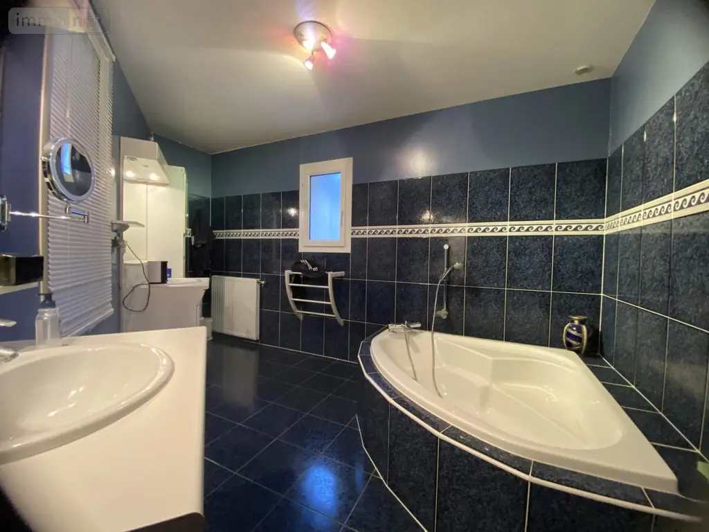 Maison a vendre Amboise 37400 Indre-et-Loire 37 246 m2 7 pièces 803400 euros 37037/235 007
