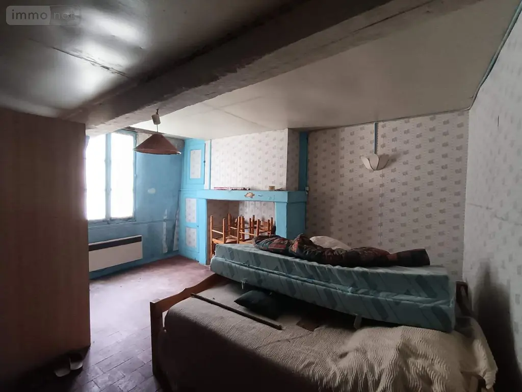 Maison a vendre Chaumont-sur-Loire 41150 Loir-et-Cher 41 42 m2 2 pièces 54500 euros 015/699 002
