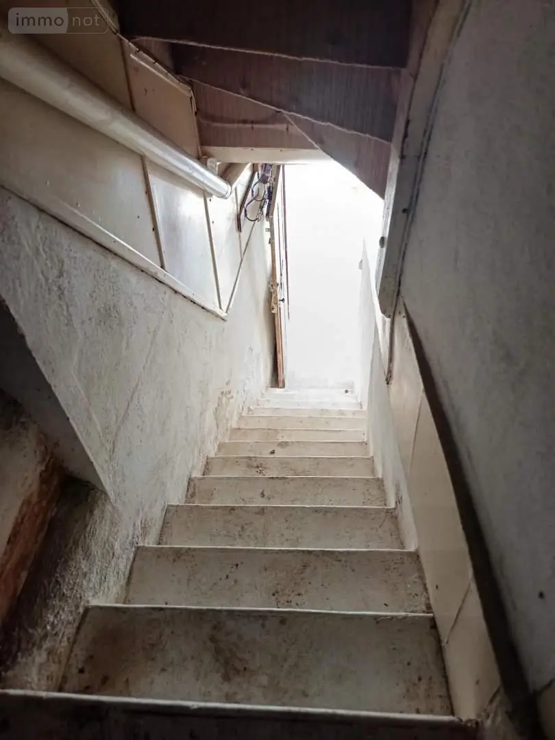 Maison a vendre Chaumont-sur-Loire 41150 Loir-et-Cher 41 42 m2 2 pièces 54500 euros 015/699 003