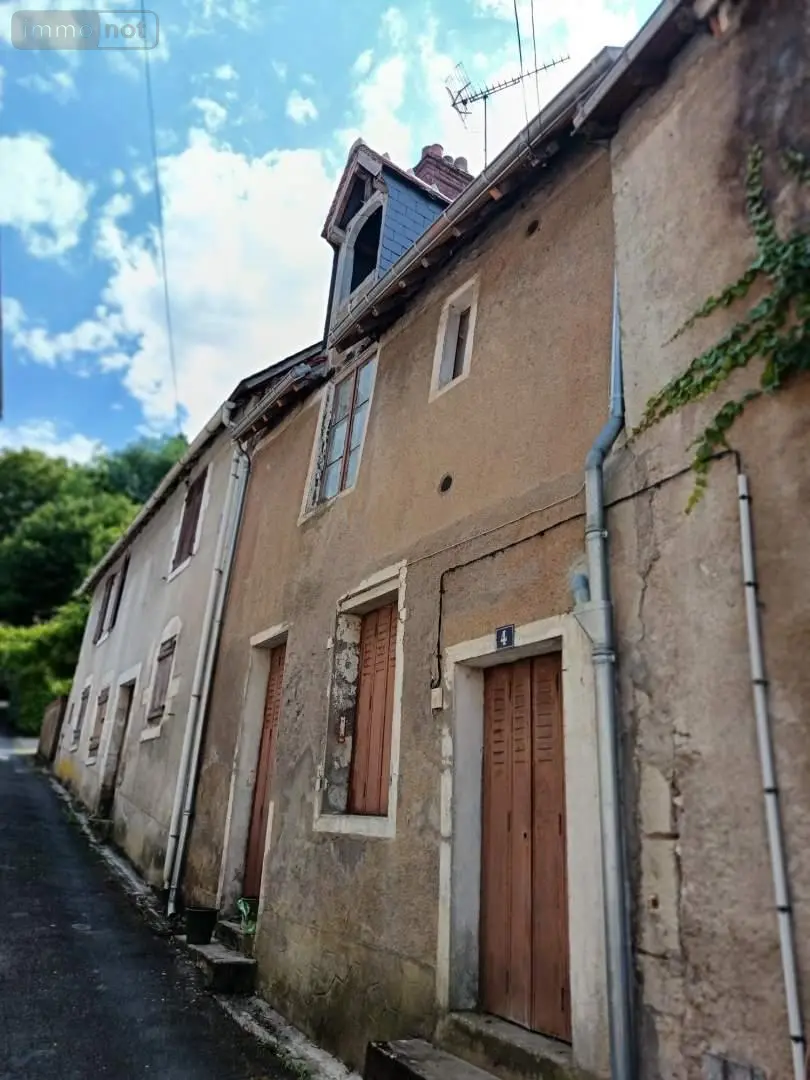 Maison a vendre Chaumont-sur-Loire 41150 Loir-et-Cher 41 42 m2 2 pièces 54500 euros 015/699 004