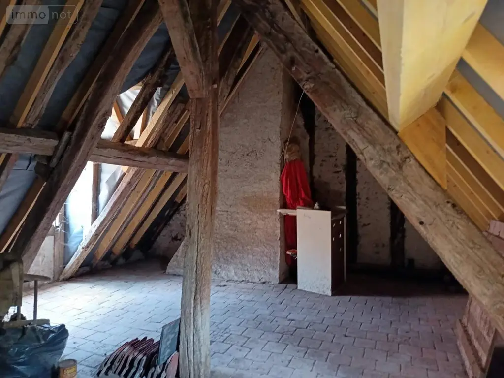 Maison a vendre Chaumont-sur-Loire 41150 Loir-et-Cher 41 42 m2 2 pièces 54500 euros 015/699 005