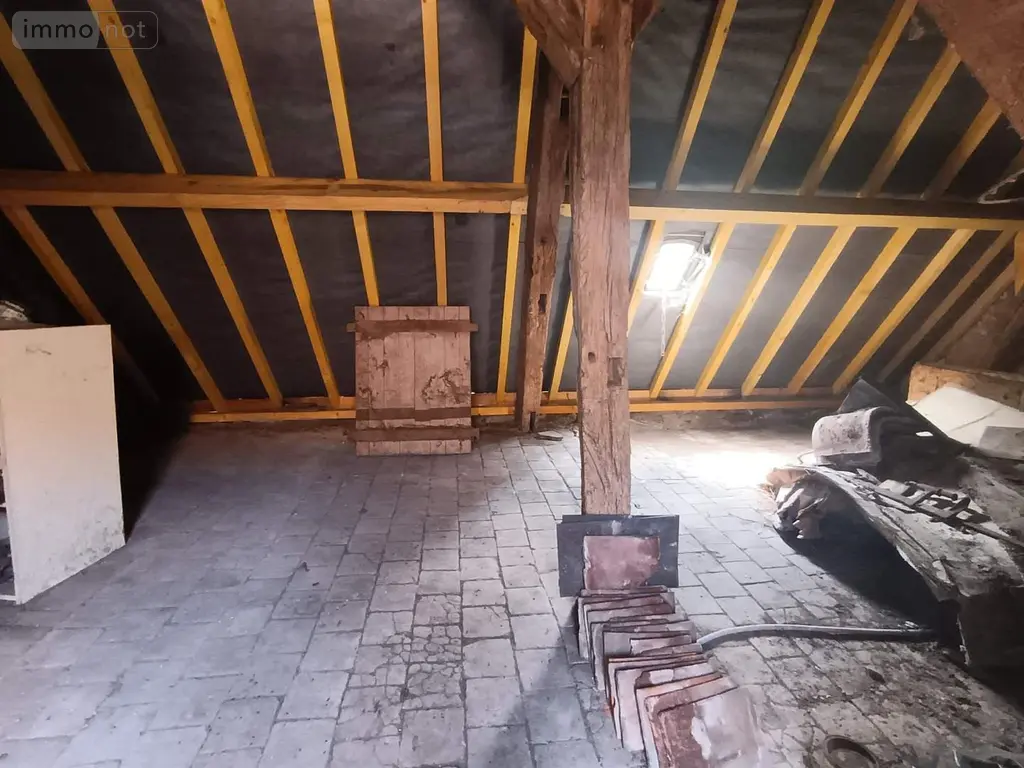 Maison a vendre Chaumont-sur-Loire 41150 Loir-et-Cher 41 42 m2 2 pièces 54500 euros 015/699 006