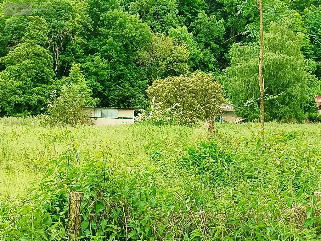 Terrains de loisirs bois etangs a vendre Fréteval 41160 Loir-et-Cher 41 14500 euros 072/1778 003