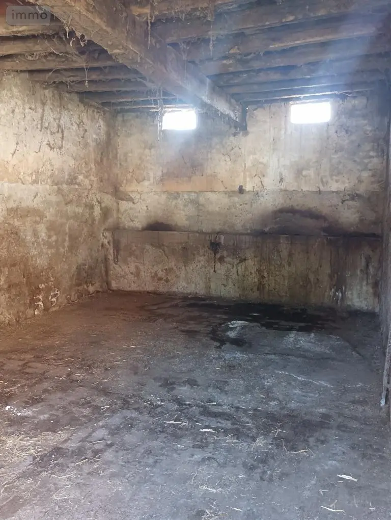 Maison a vendre Azé 41100 Loir-et-Cher 41 1 m2 3 pièces 44000 euros 072/1859 005