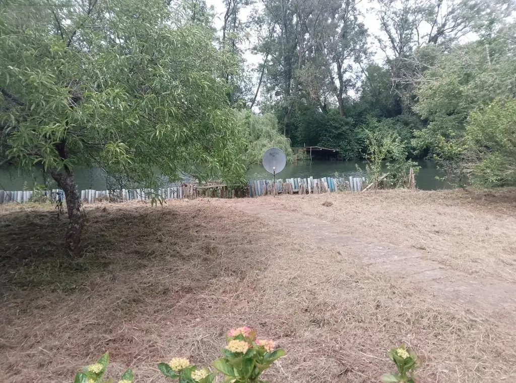 Terrains de loisirs bois etangs a vendre Fréteval 41160 Loir-et-Cher 41 44000 euros 072/1860 005