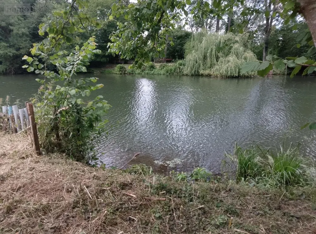 Terrains de loisirs bois etangs a vendre Fréteval 41160 Loir-et-Cher 41 44000 euros 072/1860 006