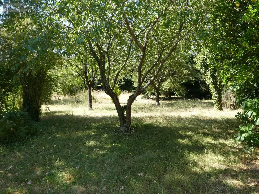 Maison a vendre Griselles 45210 Loiret 45 184 m2 5 pièces 249500 euros 065/1246 016