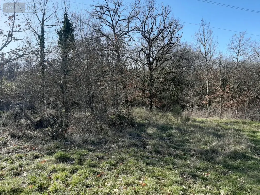 Terrain a batir a vendre Montdoumerc 46230 Lot 46 1640 m2 47700 euros 009/1666 004