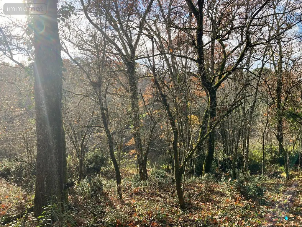 Terrain a batir a vendre Cahors 46000 Lot 46 1227 m2 53000 euros 009/1685 002