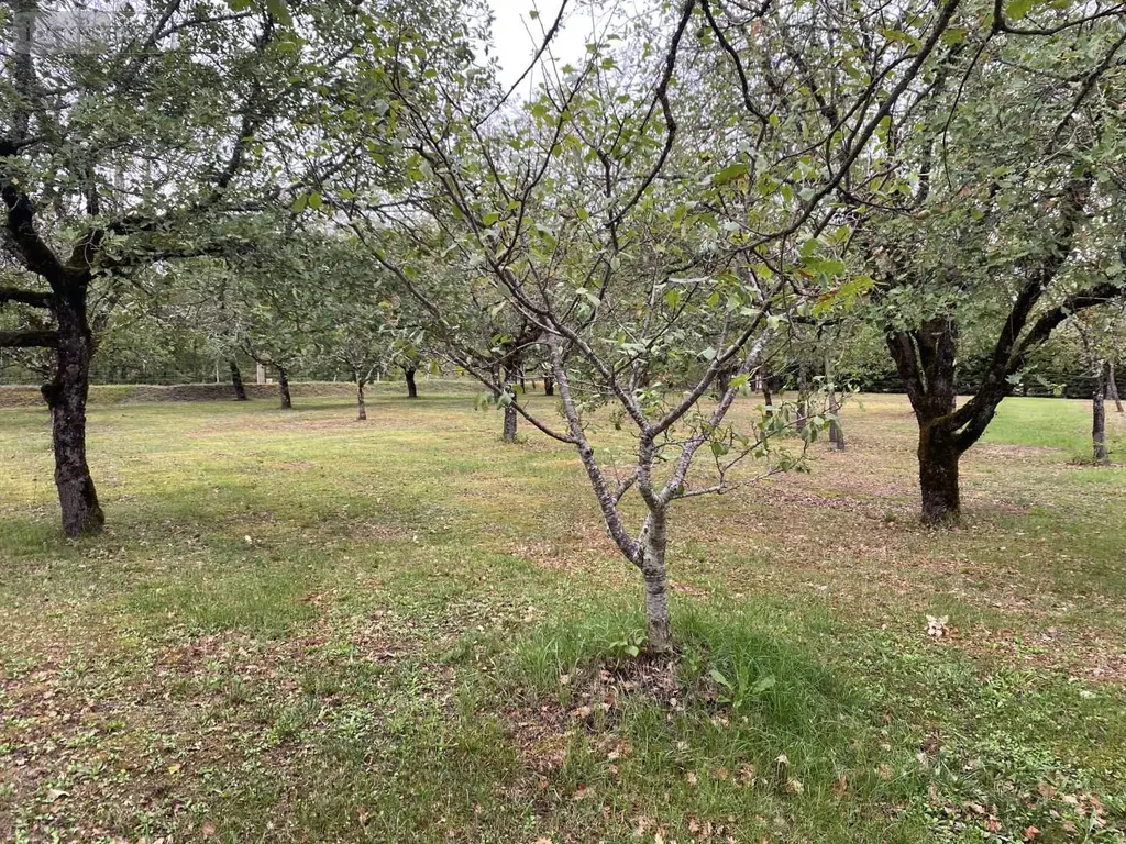 Maison a vendre Fontanes 46230 Lot 46 175 m2 5 pièces 288500 euros 009/1739 008