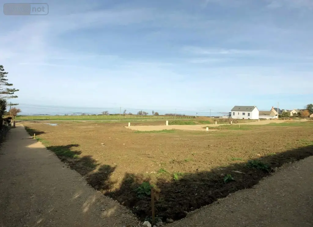 Terrain a batir a vendre Bretteville 50110 Manche 50 250 m2 126120 euros 045/1318 004