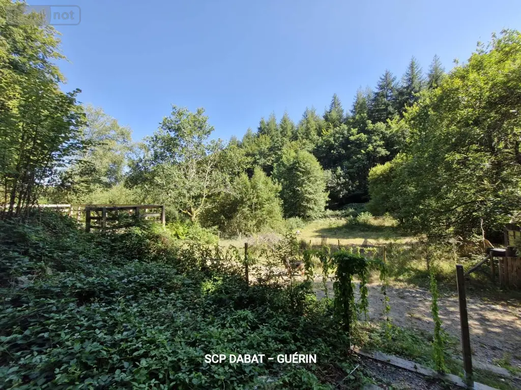 Maison a vendre Ger 50850 Manche 50 369 m2 13 pièces 706180 euros 8437 014