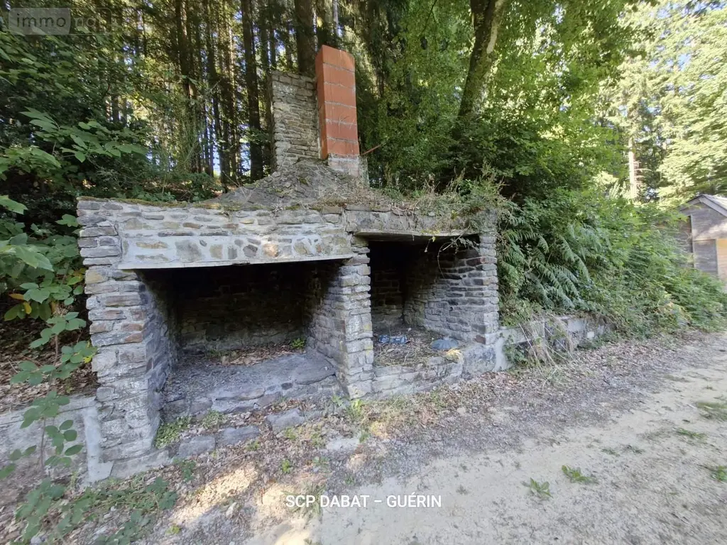 Maison a vendre Ger 50850 Manche 50 369 m2 13 pièces 706180 euros 8437 017