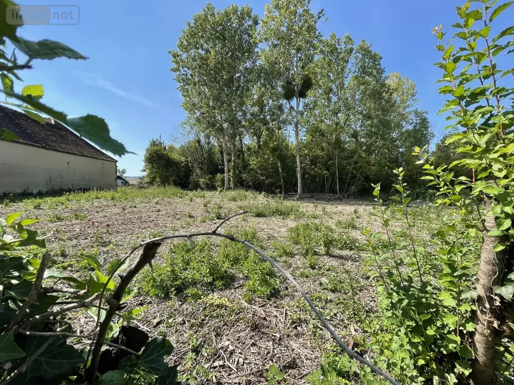 Terrain a batir a vendre Oyes 51120 Marne 51 1559 m2 29295 euros 043/1442 002