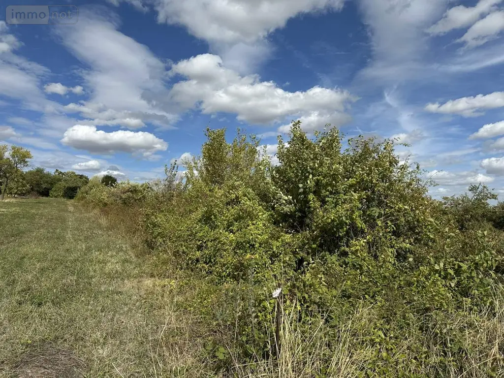 Terrains de loisirs bois etangs a vendre Sézanne 51120 Marne 51 2000 euros 043/1795 002